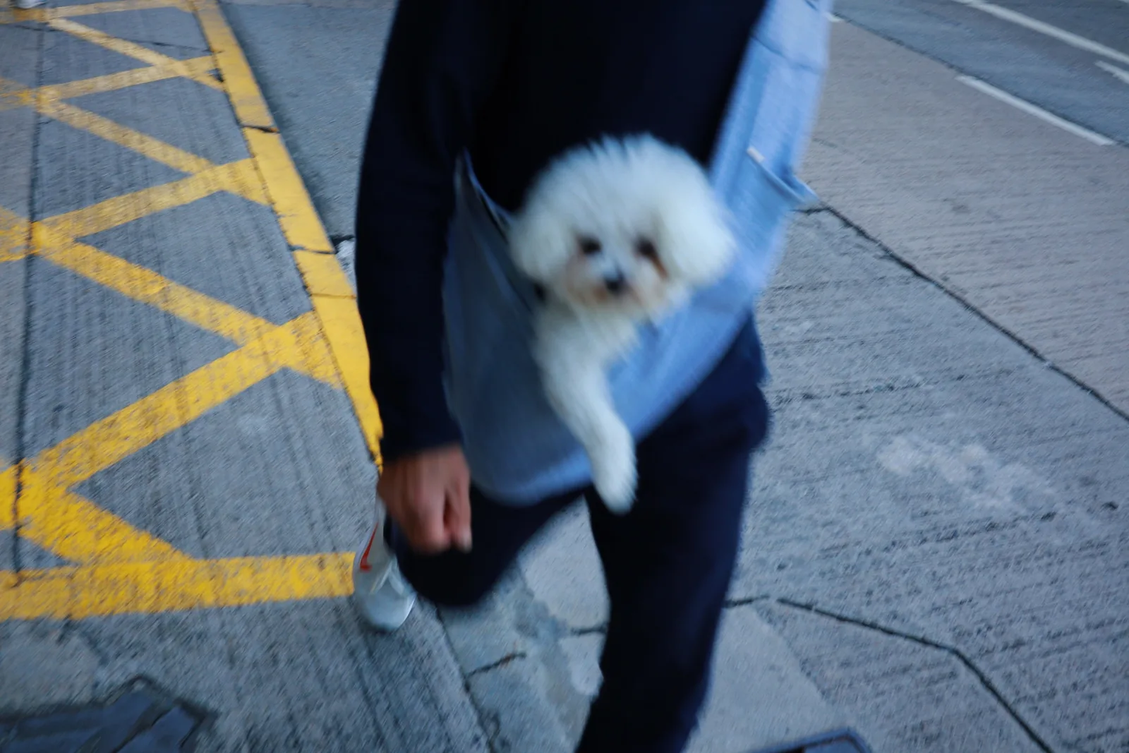 https://img.philohao.com/blog/2024/01/20240107-02.webp