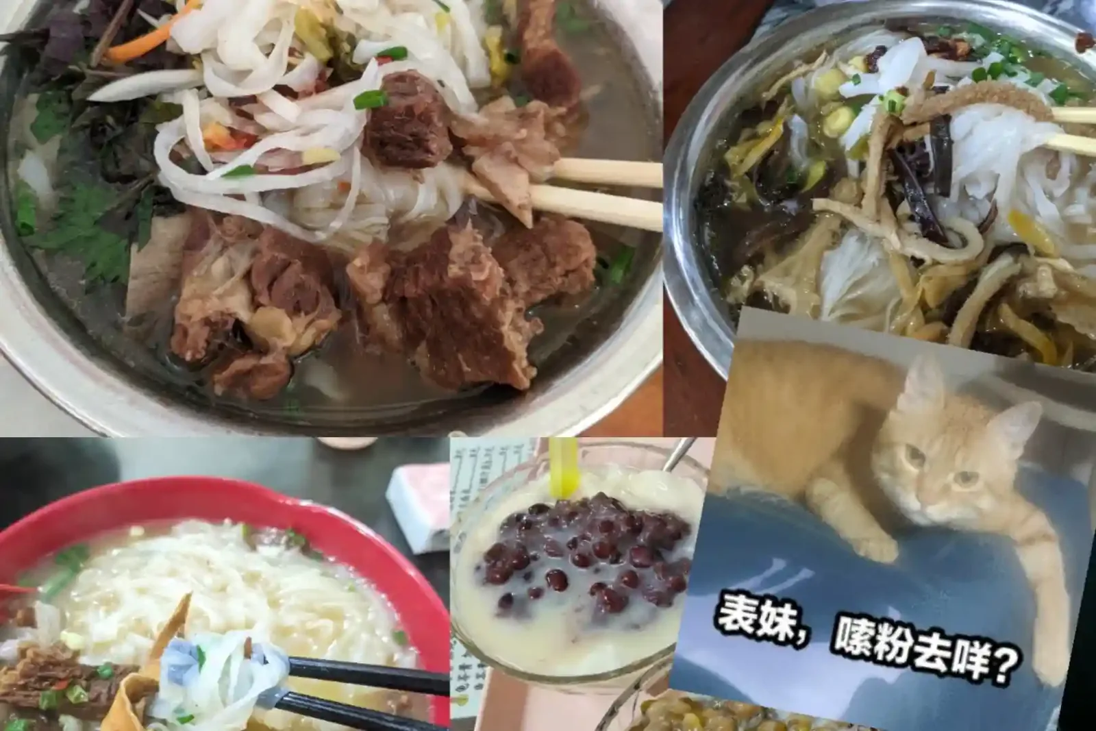 https://img.philohao.com/travel/2024/travel-05.webp