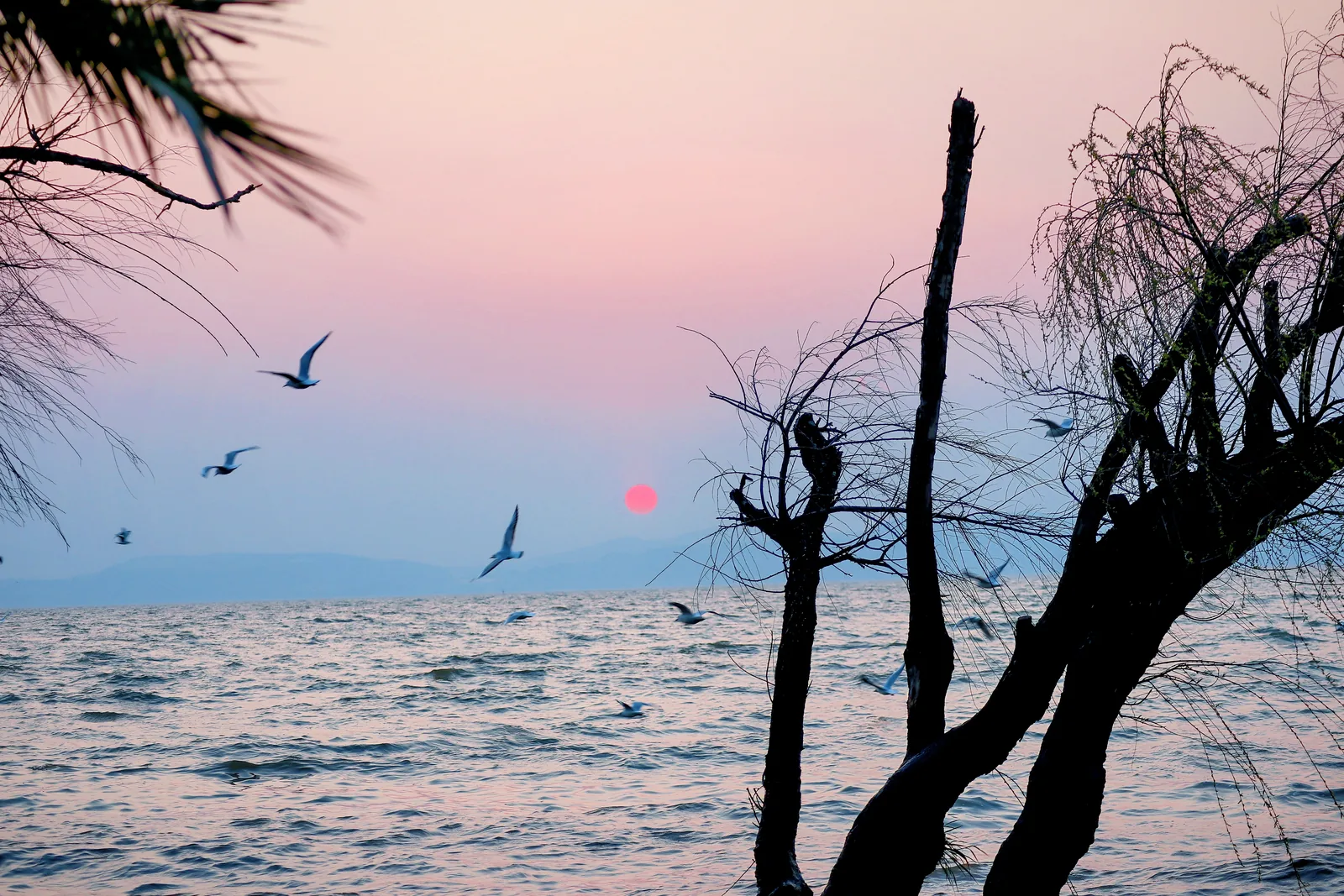 https://img.philohao.com/travel/2025/travel-16.webp